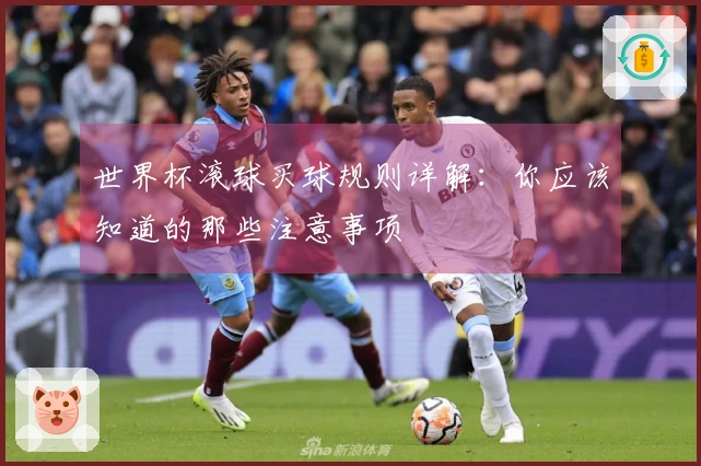 世界杯滚球买球规则详解：你应该知道的那些注意事项