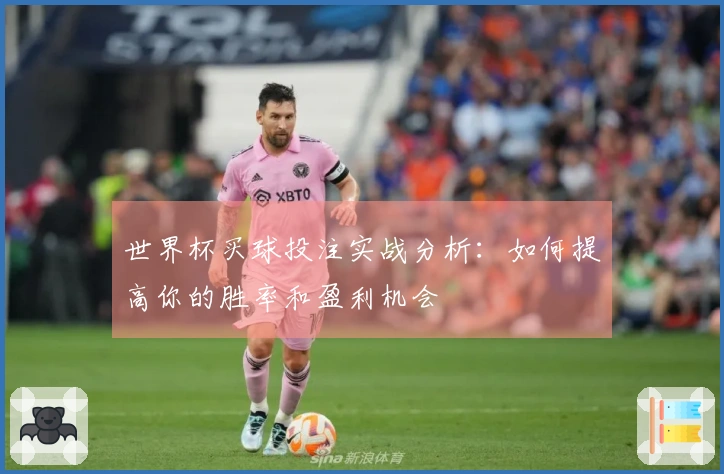 世界杯买球投注实战分析：如何提高你的胜率和盈利机会