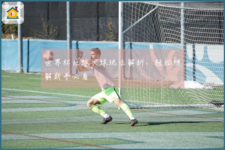 世界杯让球买球玩法解析，轻松理解新手必看