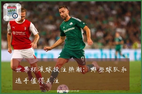世界杯滚球投注热潮：哪些球队和选手值得关注