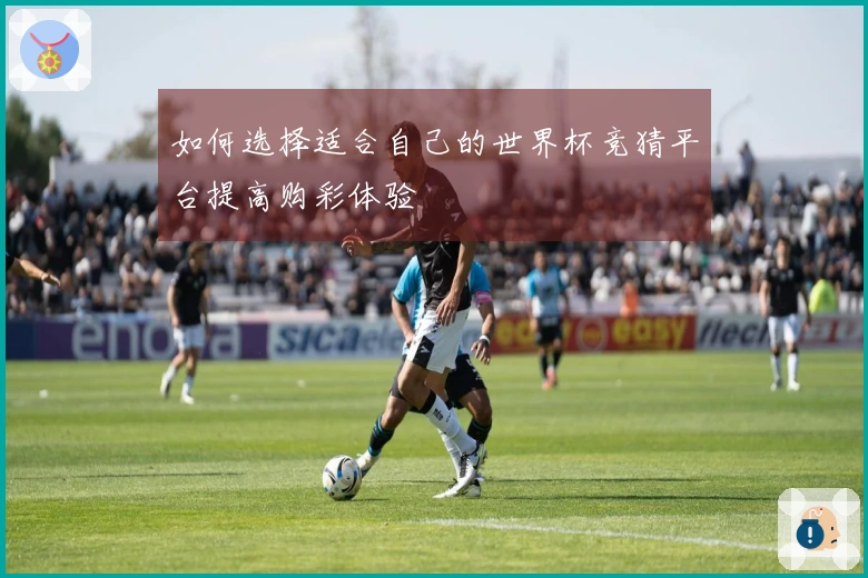 如何选择适合自己的世界杯竞猜平台提高购彩体验