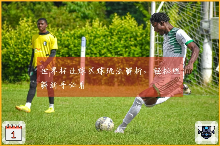 世界杯让球买球玩法解析，轻松理解新手必看