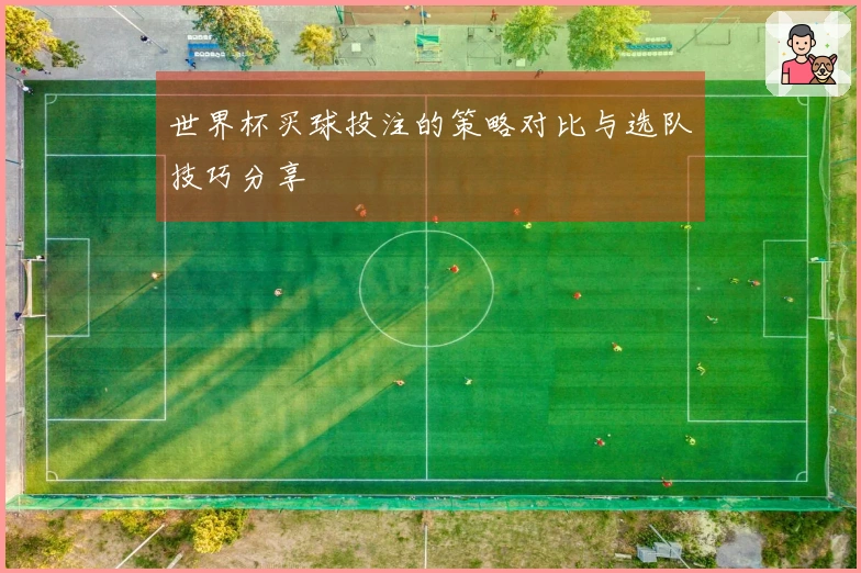 世界杯买球投注的策略对比与选队技巧分享