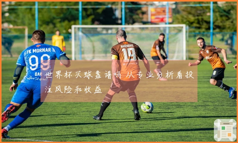 世界杯买球靠谱吗 从专业分析看投注风险和收益