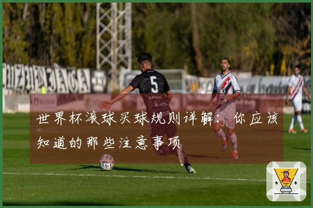 世界杯滚球买球规则详解：你应该知道的那些注意事项