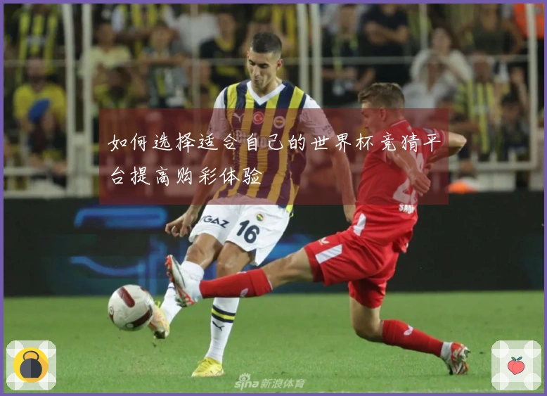 如何选择适合自己的世界杯竞猜平台提高购彩体验