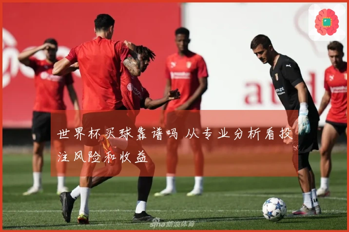 世界杯买球靠谱吗 从专业分析看投注风险和收益